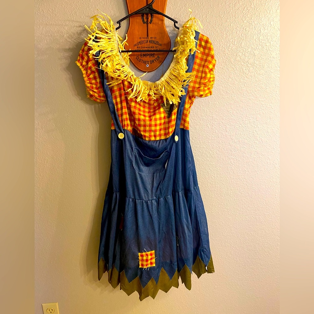 Ladies scarecrow costume
